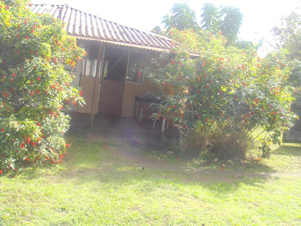 Cabanas Varua Hanga Roa Rom bilde